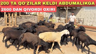 ABDUMALIK QOZILARNI NARXINI TUSHURVORDI 200 ta QOZI KELDI [upl. by Cornelie]