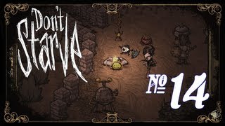 Dont Starve  Episode 14 Smallbirds and Spears [upl. by Edmea]