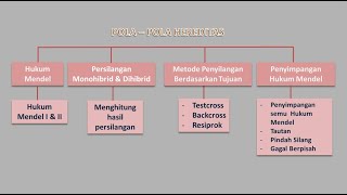 KONSEP BAB POLA HEREDITAS [upl. by Blood]