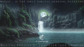 Cynosure Enigmatic Chillout Music Session 2024 [upl. by Nahtanohj]