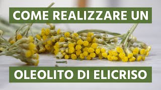 Come realizzare un oleolito di Elicriso [upl. by Child]