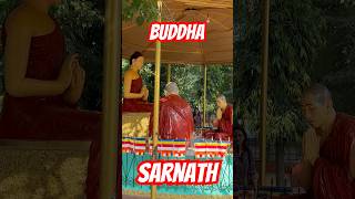 Famous 😌 Sarnath Stupa  Buddha and Digambar Jain 🛕  Moolgandh Kuti Vihar shorts ytshorts [upl. by Cariotta]