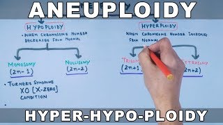 Aneuploidy and its classification [upl. by Oicelem]