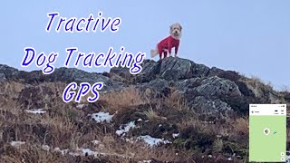 Is This GPS Dog Tracker Worth the Hype My Review [upl. by Pittman]