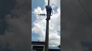 Practice of Pole Climbing competition masterelectrician nature electricmaster electric amazing [upl. by Azila]