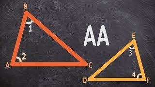 How do you determine two triangles are similar using angle angle aa [upl. by Etteyniv]