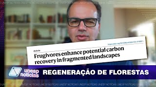 Pássaros são fundamentais na restauração de florestas que sequestram o gás carbônico da atmosfera [upl. by Anivid556]