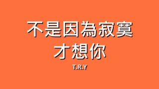 TRY  不是因為寂寞才想你【歌詞】 [upl. by Vivie265]