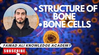 Structure of Bone with diagramBone Cells [upl. by Nikolaus786]