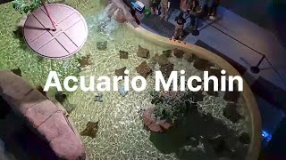 Acuario Michin CDMX [upl. by Booth]