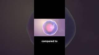 The Empty Space Within ATOMS Revealed [upl. by Alehc]