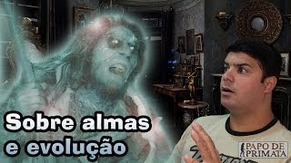 Sobre almas e evolução [upl. by Ellehcsar]