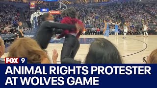 Video of animal rights protester entering Timberwolves court getting tackled by security  FOX 9 [upl. by Ringo]