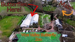 Wye Valley Butterfly Zoo [upl. by Sahcnip]