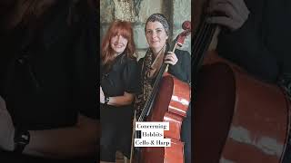 Concerning Hobbits  Harp amp Cello CelticStringsEnsemble1 [upl. by Ecienahs]