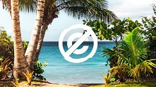 Scandinavianz  Waves  No Copyright Music  Tropical House [upl. by Ayhay892]