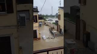 ⚠️ Rottura dellargine del Lamone a Traversara di Bagnacavallo Ravenna⚠️alluvione emiliaromagna [upl. by Catharina]