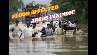 Pakistan floods 2024  Flood affected areas in Sindh [upl. by Tillman]