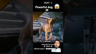 Powerfull dog full movie explain shorts foryou explaind ytshots movieexplainedinhindi [upl. by Semaj373]