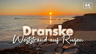 Dranske  Weststrand nach Hiddensee  Rügen Urlaub 2022 4K SunsetWalk [upl. by Gustave]