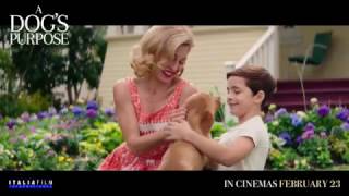 A DOGS PURPOSE  In Cinemas February 23 across the Middle East [upl. by Asereht]