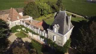 Vendanges 2015 au VIEUX CHATEAU CERTAN [upl. by Ardnaxila401]