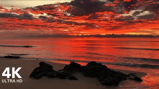 Perfect Sunrise at the Beach with Calming Sound of Waves  4K Ultra HD [upl. by Allista]