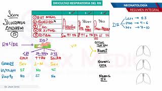 Neonatología  Dificultad respiratoria [upl. by Asined277]