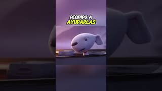 quot¡El Perrito Heroico 🐶 Ayuda a una Garza y Sus Críasquot youtubeshorts [upl. by Orvil]