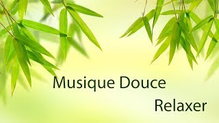 Musique Douce et Nature Pour Relaxer et Dormir [upl. by Nalyorf735]