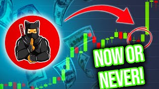 SHIBNOBI TOKEN BIG UPDATE PRICE PUMP INCOMING GET READY PRICE PREDICTION NEWS TODAY 2022 [upl. by Weasner]