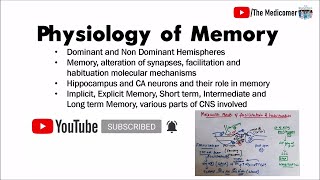 Physiology of Memory [upl. by Kcirederf738]