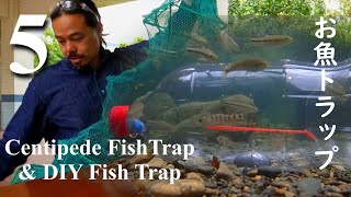 Ep05 The DIY Fish Trap Episode 05 The Centipede fishtrap 2023 1213 mukade [upl. by Stultz]