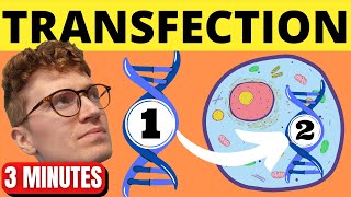 QUICKLY Understand Transfection [upl. by Pangaro]