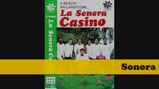 Sonora Casino  Amor por computadora [upl. by Ardnekat]