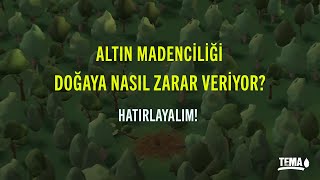 Altın Madenciliği Hakkında Anlatacaklarımız Var ❗ [upl. by Beatty]