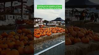 The pumpkin patch at sauvie island [upl. by Ender]