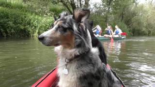 Mit 3 bunten Hunden im roten GrabnerGummiboot auf der LAHN 2017 [upl. by Rechaba]