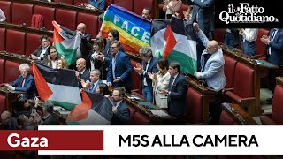 quotBasta armi a Israelequot M5S vs governo quotPrendetevi una responsabilitàquot Ed espongono le bandiere [upl. by Mcgee]