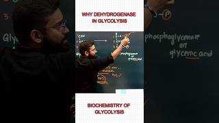 Dehydrogenase  Glycolysis  Respiration  Dr Niladri Deb  ​⁠factionbio1166 [upl. by Schuman]