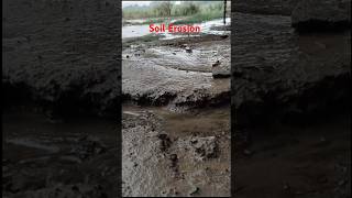 Weathering and Erosionbiologyshort video।science।soil [upl. by Naibaf]