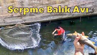 YOK BÖYLE BOLLUK  Serpme İle Balık Avı [upl. by Rubma]