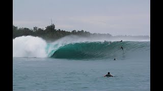 Green Bush Mentawai Islands [upl. by Haisi]