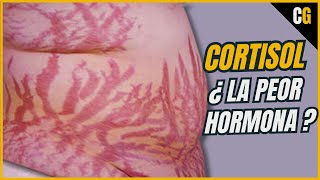 Cortisol  ¿La PEOR Hormona de Todas  Síndrome de CUSHING y Efectos del CORTISOL Estrés 22 [upl. by Notterb]