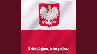 Dzisiaj żyjesz jutro gnijesz Dagmara Kaźmierska [upl. by Nemracledairam]