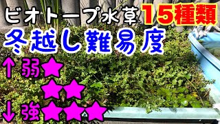 水草の寒さ強さランキング！ビオトープでの冬場の管理方法！越冬方法！ビオトープ定番水草〜アクアリウム用水草まで15種類以上 水草水上栽培 [upl. by Awahsoj]