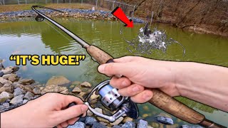 EARLY SPRING CREEK Fishing INSANE ACTION [upl. by Assirrem]