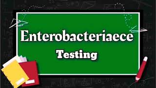 Enterobacteriaceae family  How to count enterobacteriaceae using MPN test  Microbiology [upl. by Minnaminnie]