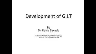 Development of midgut and hindgut [upl. by Erroll]