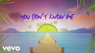 Sigala Shaun Frank Flo Rida  You Dont Know Me Lyric Video ft Delaney Jane [upl. by Reagen]